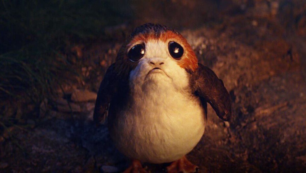 Porg