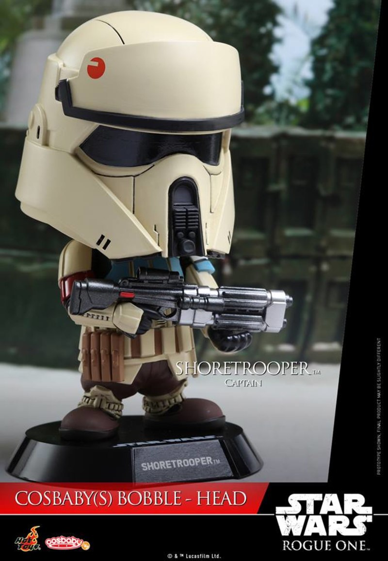 Shoretrooper Captain
