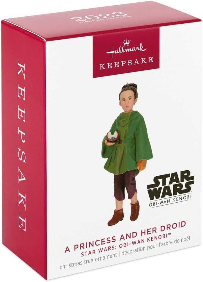 A Princess and Her Droid