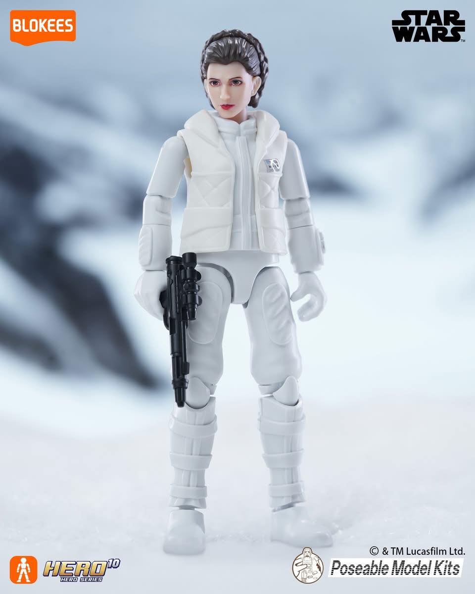 Princess Leia | Star Wars Series