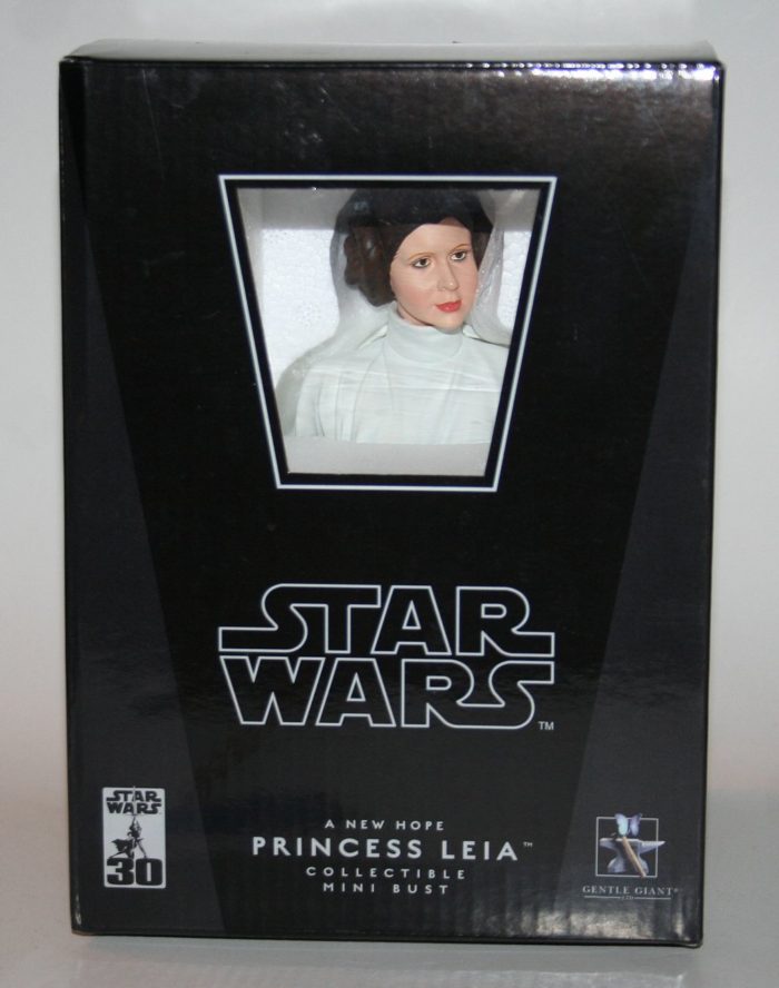 Princess Leia (A New Hope)