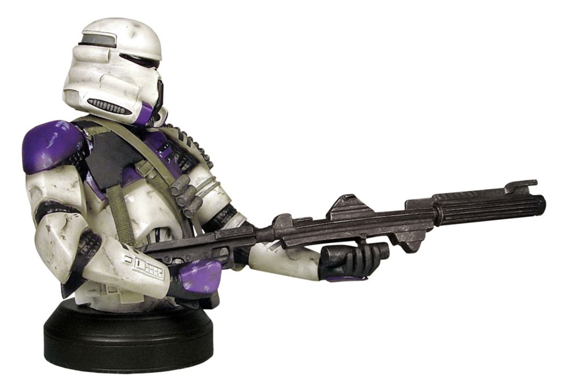 187th Airborne Trooper