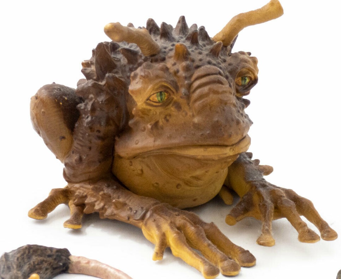 Worrt | Salacious Crumb