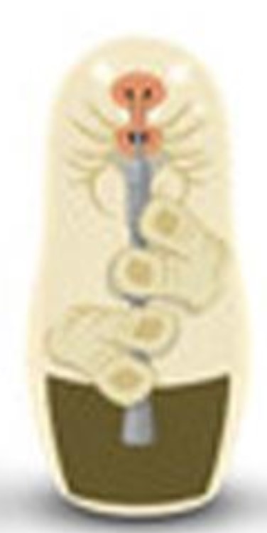 Droopy McCool | Jabba's Palace