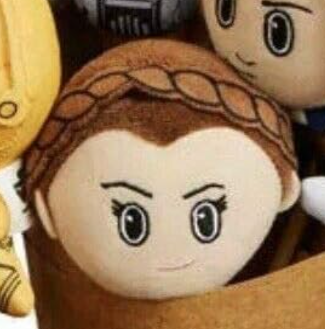 Princess Leia | Battle of Endor