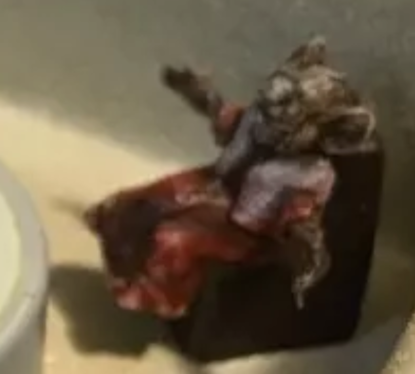 Kabe | Cantina Action Scene