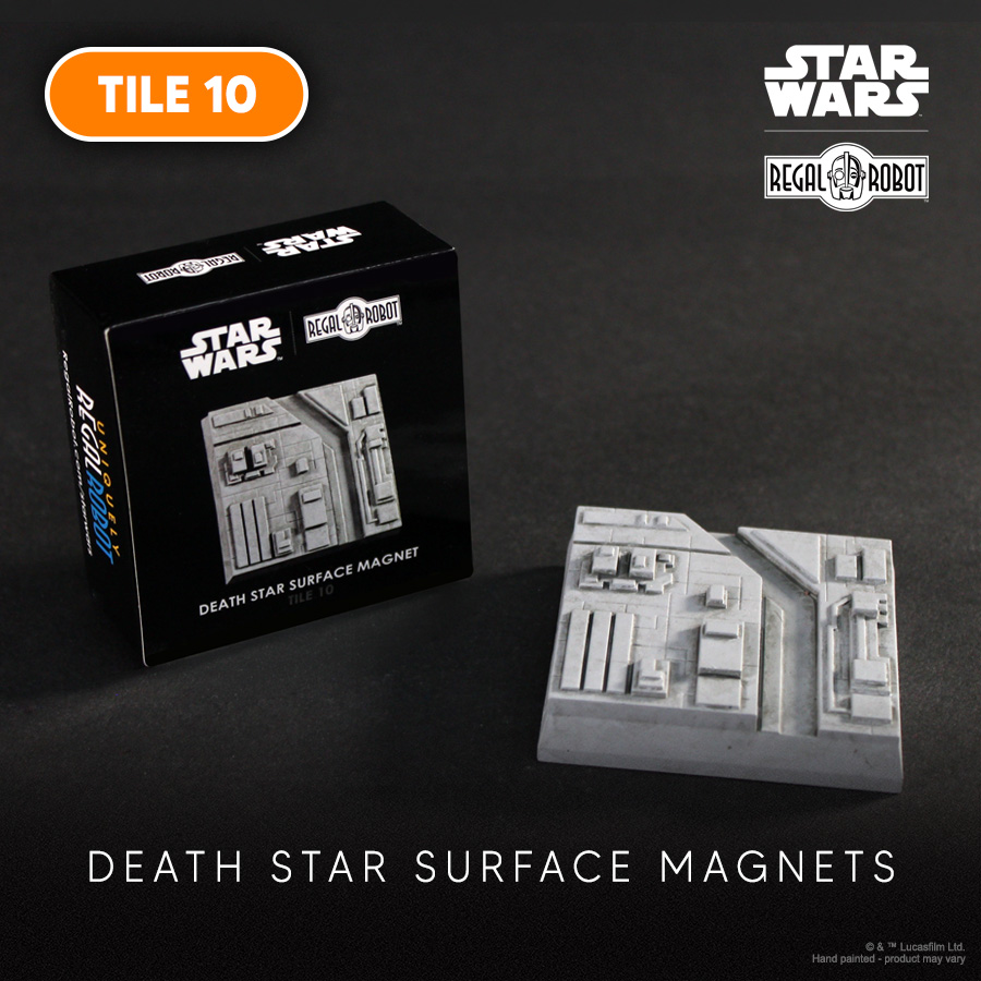 Death Star Surface Magnet (Type 10)