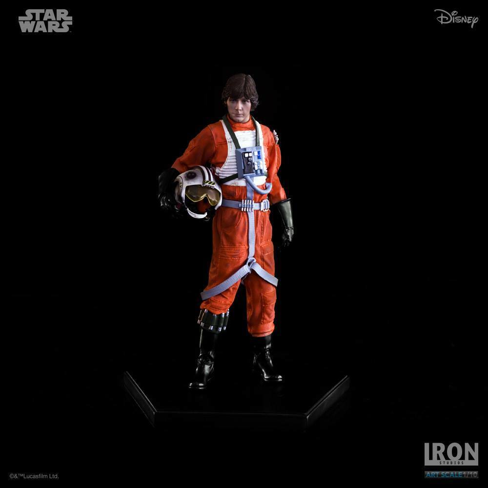 Luke Skywalker X-Wing Pilot