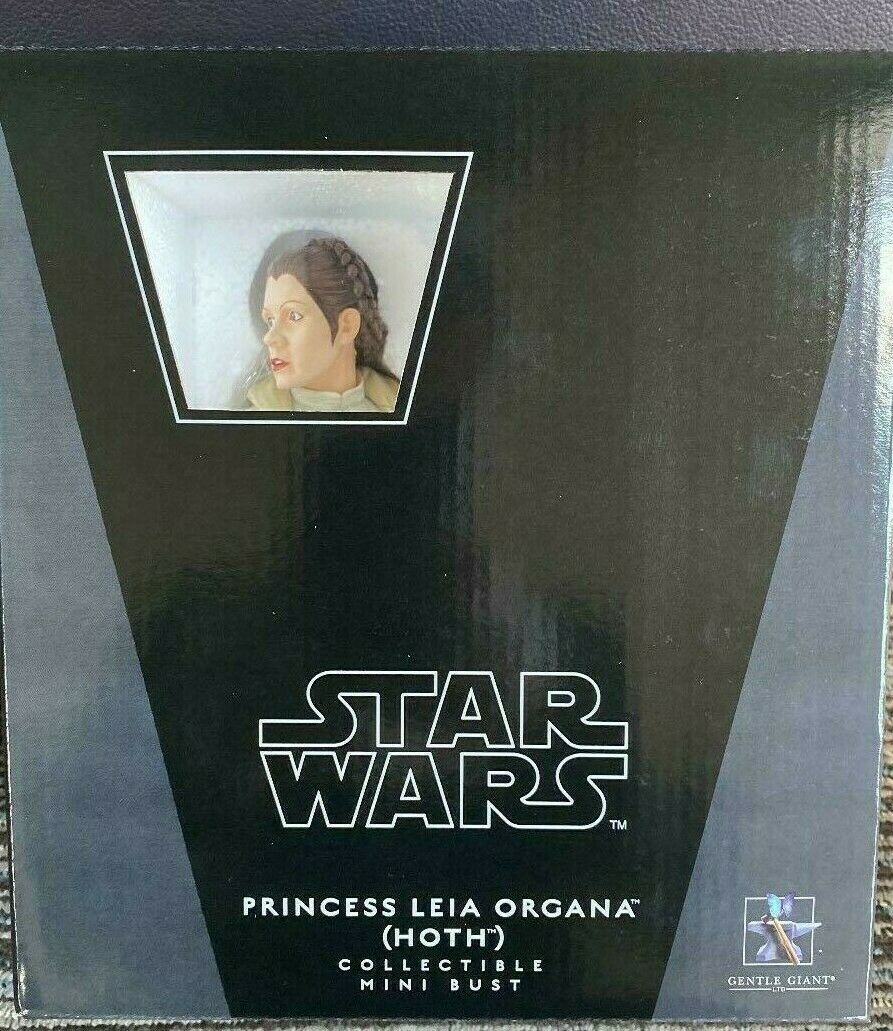 Princess Leia (Mynock Hunt)