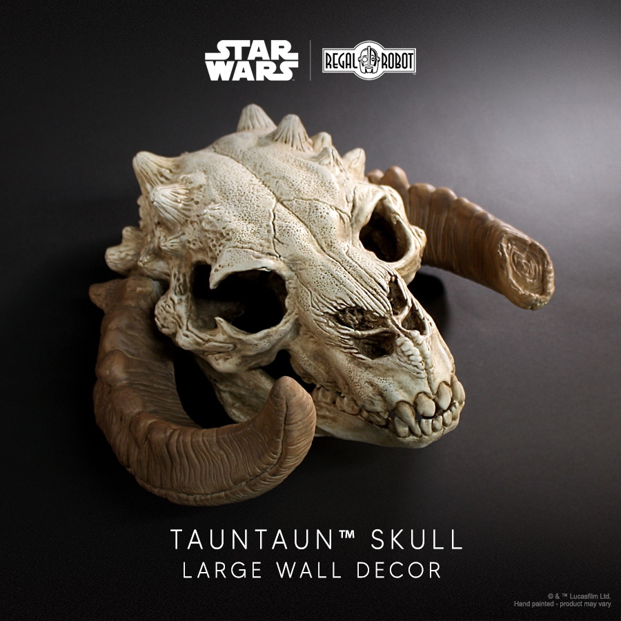 Tauntaun Skull