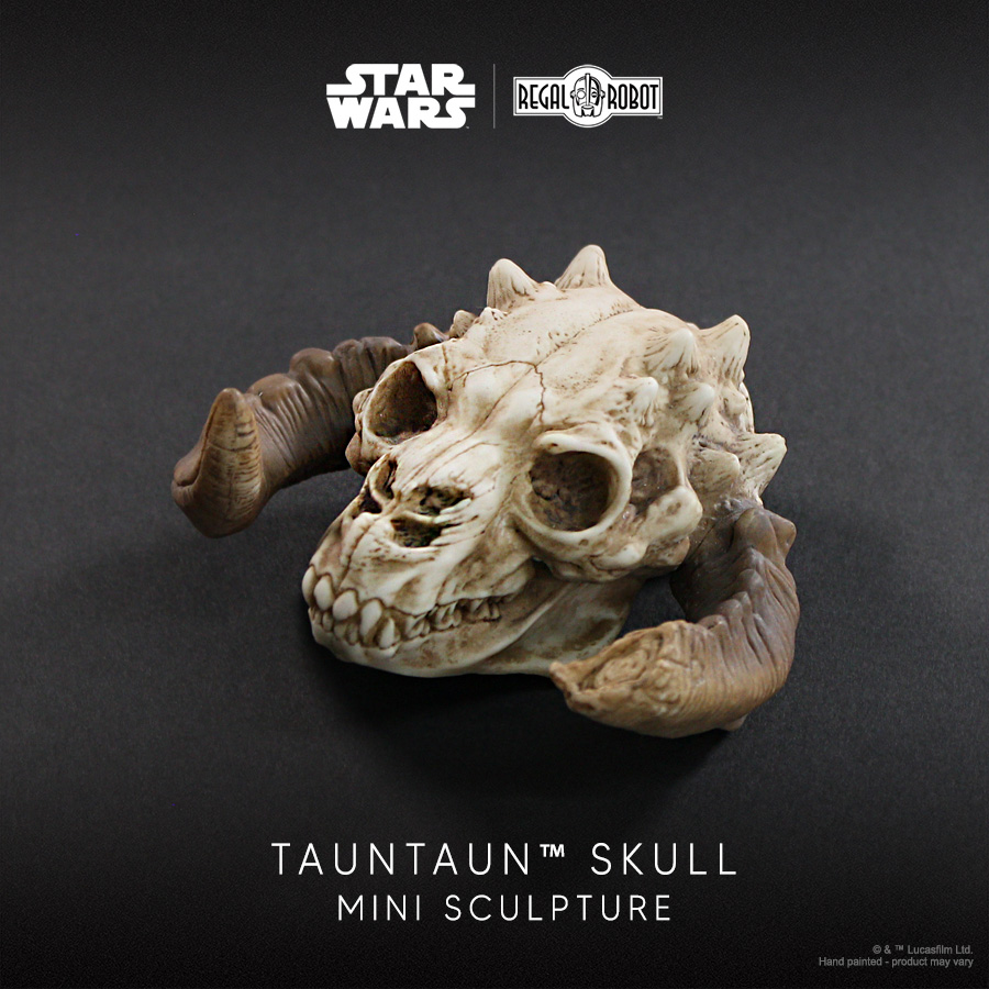 Tauntaun Skull