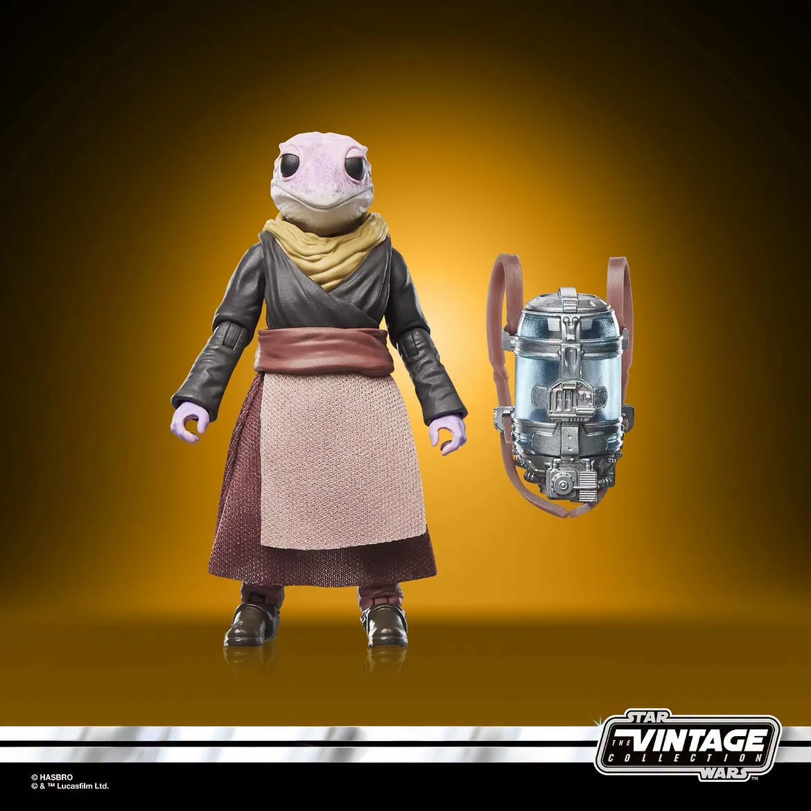 Frog Lady | Razorcrest Encounter