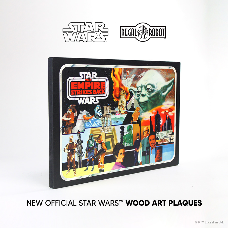 The Empire Strikes Back Carry Case