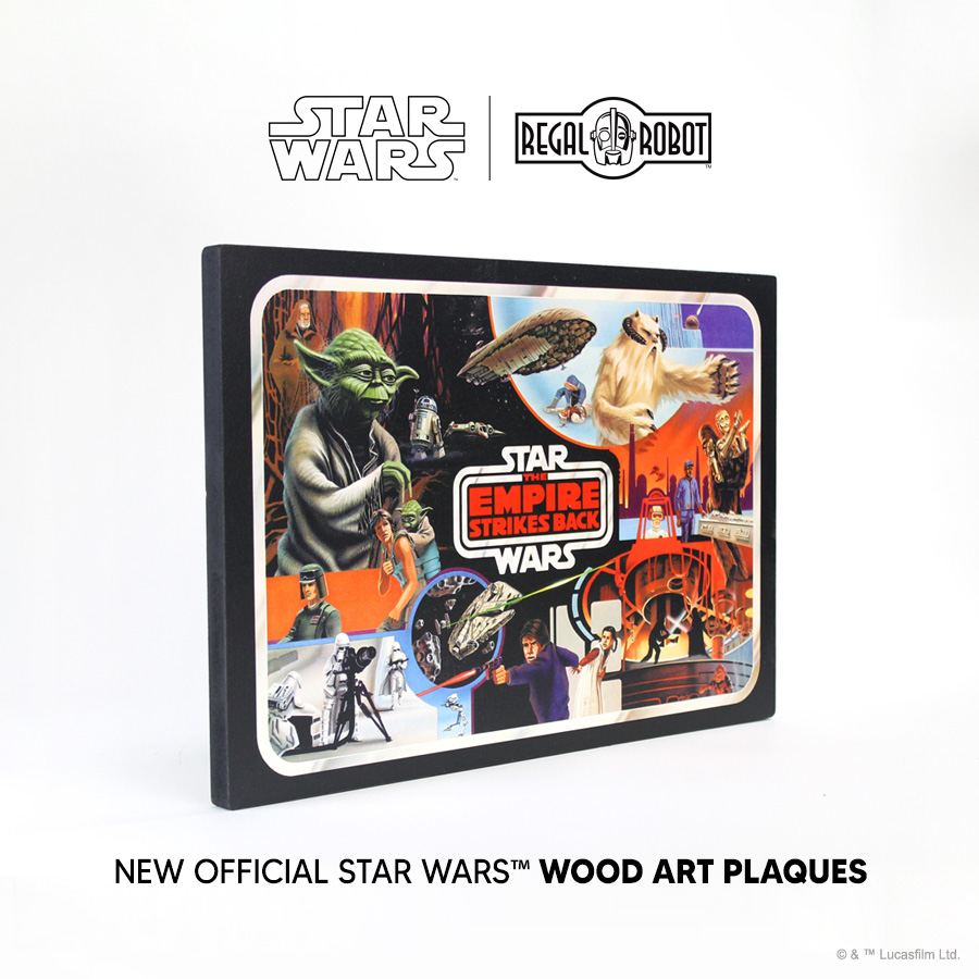 The Empire Strikes Back Carry Case Version 2